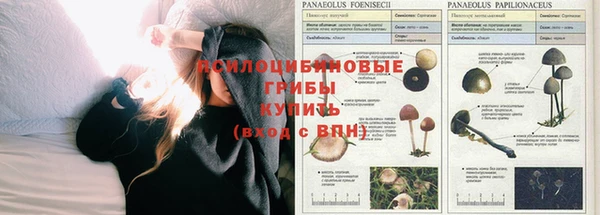 прущая мука Красноперекопск